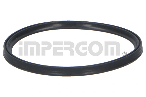 Seal Ring, charge air hose